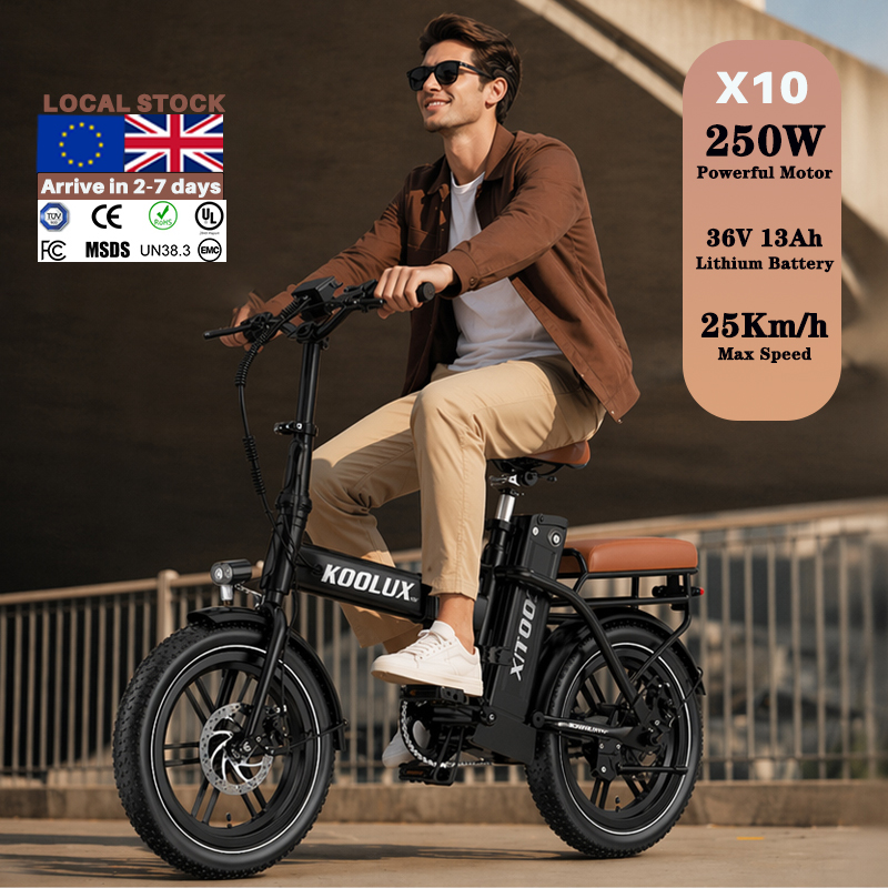Europa Polen X10 Elektrisches  – Mountain Biking Europe Bewertung und Preis
