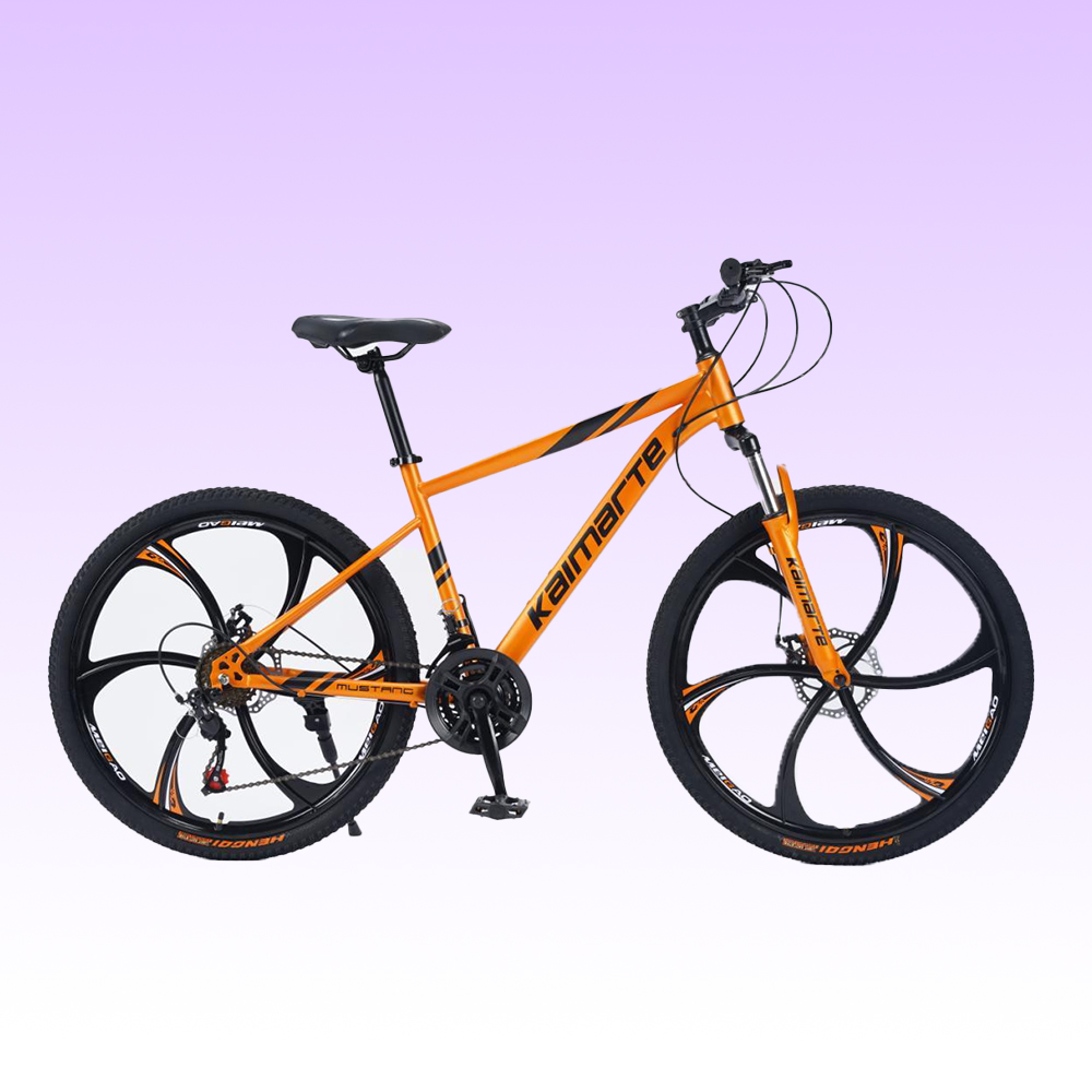 OEM Maßgefertigtes 26 27,5 29  – Mountain Biking Europe Bewertung und Preis
